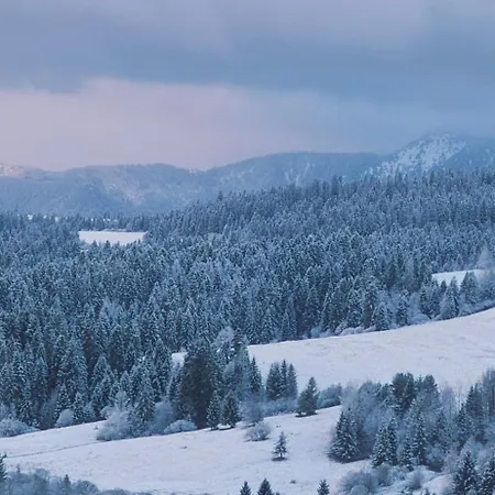 Appartamento Tatra View *