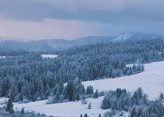 Appartamento Tatra View *